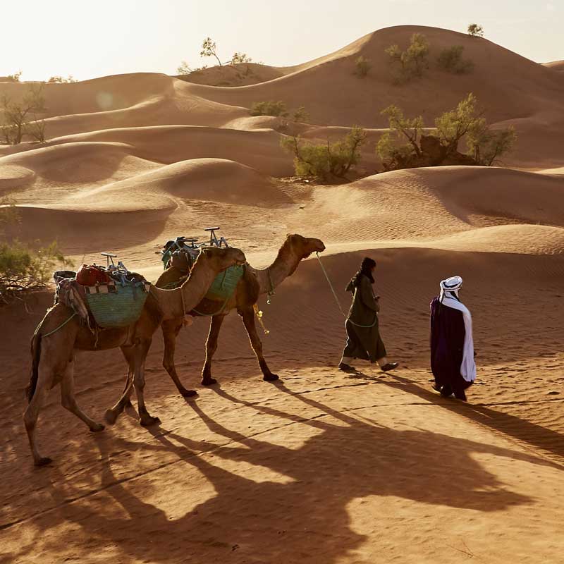 KOSHER NEW YEAR: MOROCCO & THE SAHARA DESERT