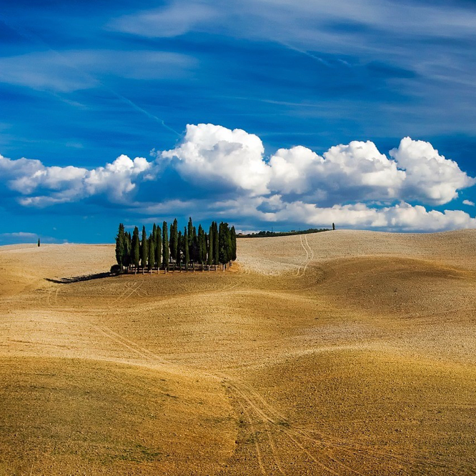 THE MAGICAL TOUR OF TUSCANY: HISTORY, ART AND SHOPPING delete