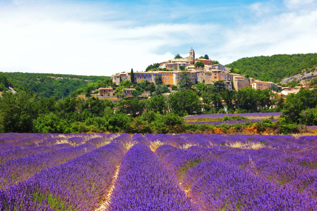 THE MAGIC FLAVOR OF PROVENCE AND JEWISH HERITAGE